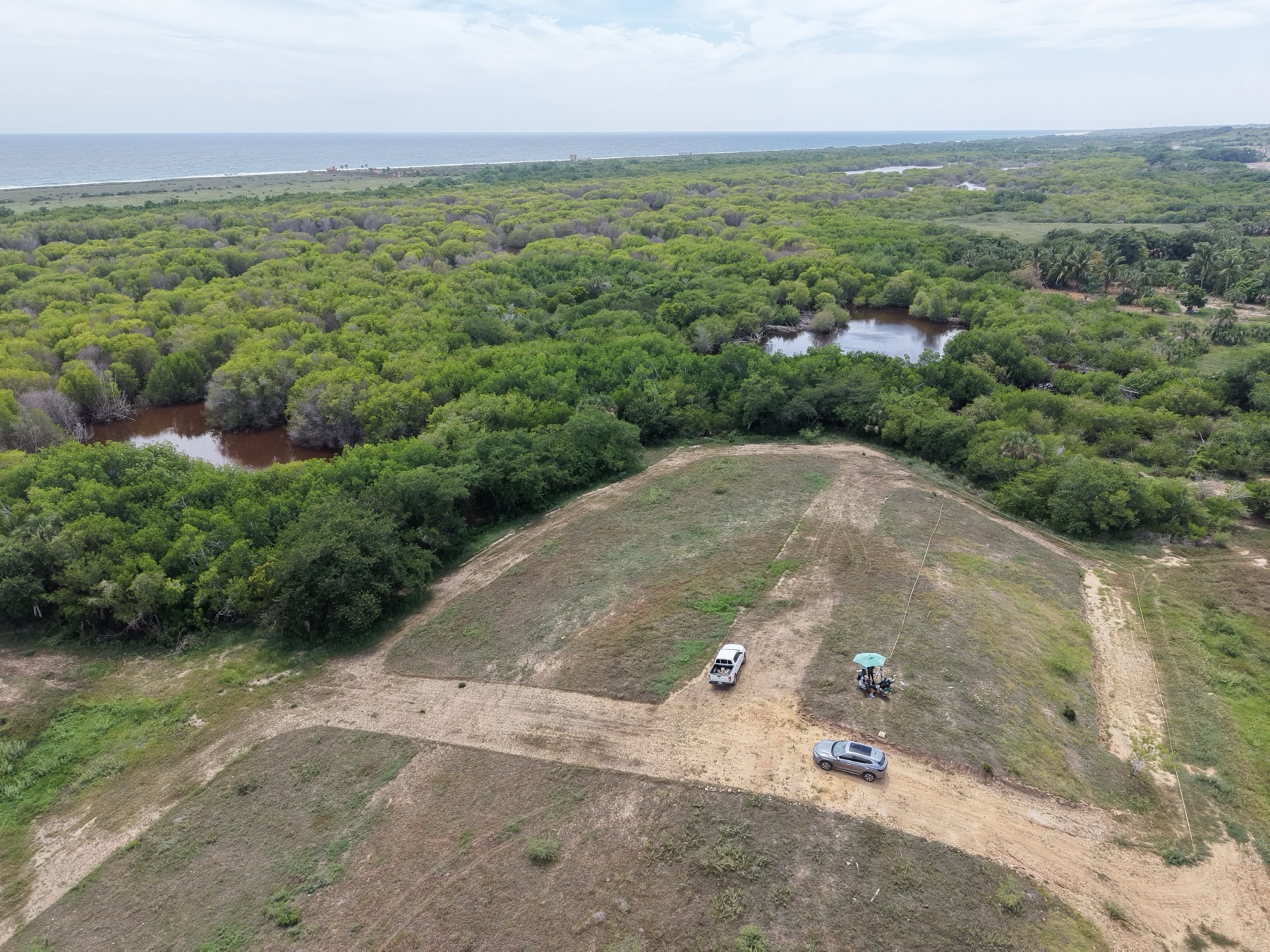 El terreno trazado visto desde arriba, con la laguna y el manglar al fondo