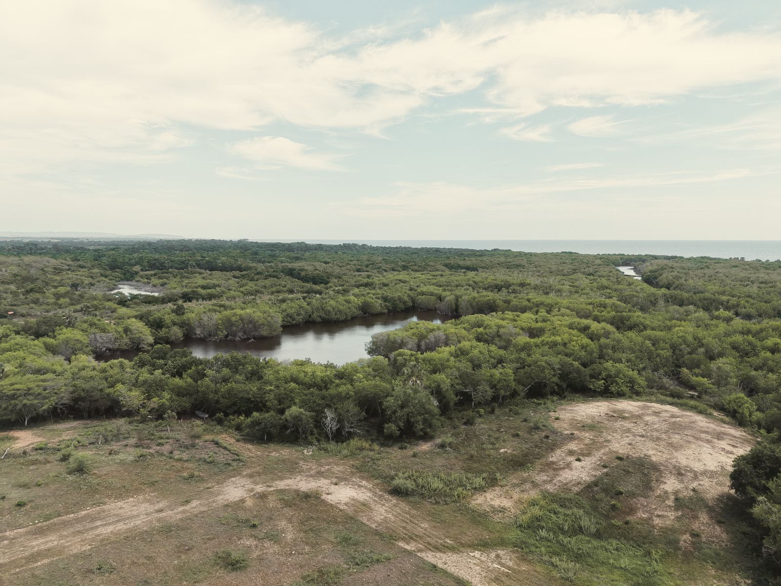 Fotografía aérea de la laguna rodeada de manglar, con el mar en el horizonte