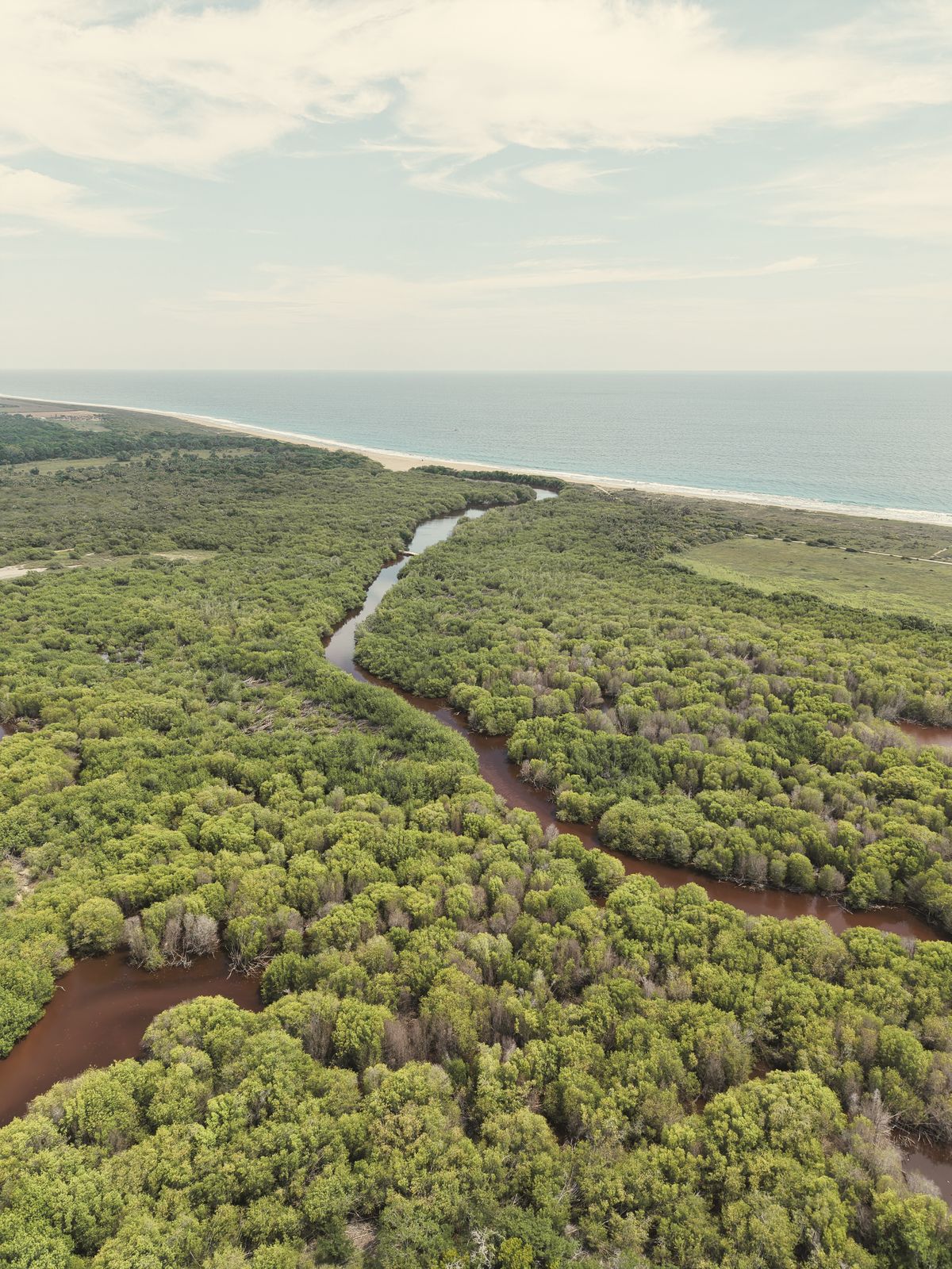 Fotografía aérea del manglar y sus esteros, con la playa y el mar al fondo